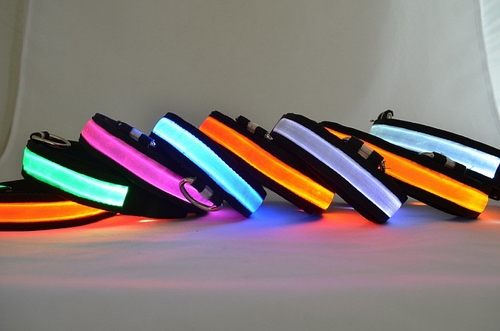 LED Light Up Dog Collar – Image 3
